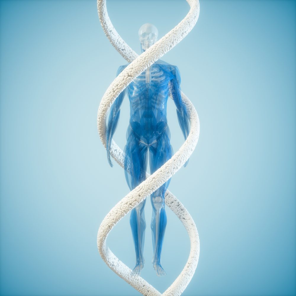 Human Anatomy with DNA Molecule