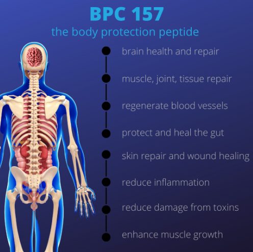 The Future of Supercharging Healing and Performance with BPC 157 |  Regenerative Medicine Center - Dr. Valerie Donaldson MD Pittsburgh,  Pennsylvania PA